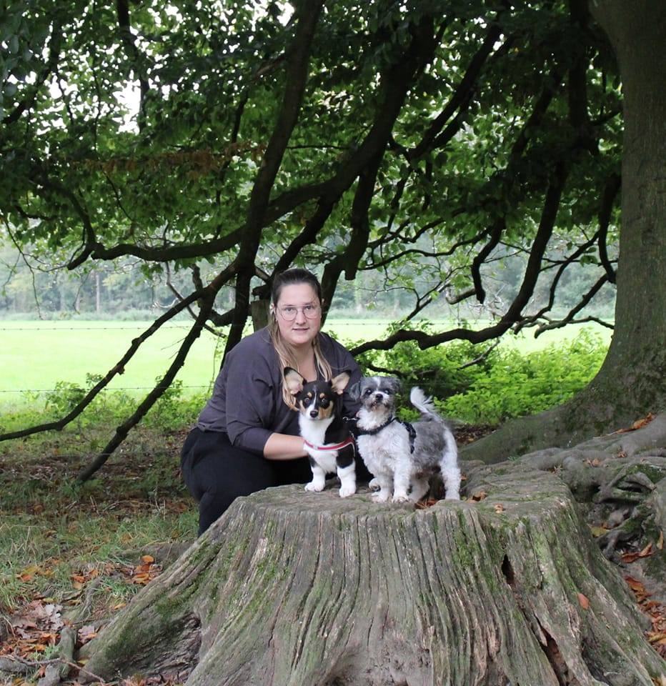 387735414_2022856811440462_6371695531176267106_n